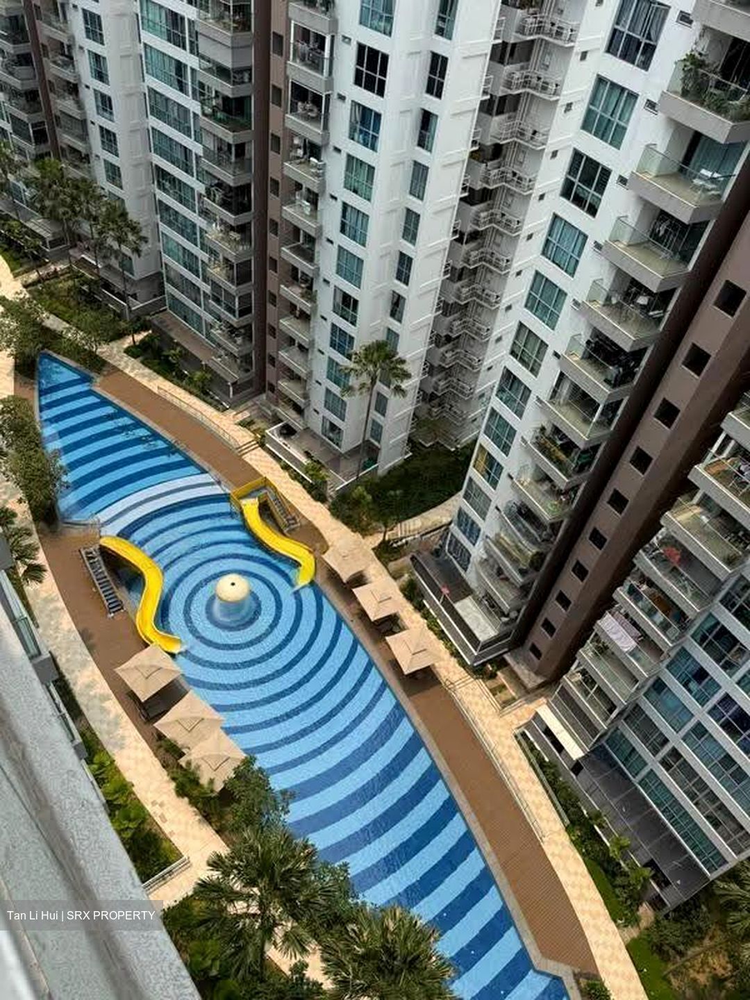 A Treasure Trove (D19), Condominium #621709571